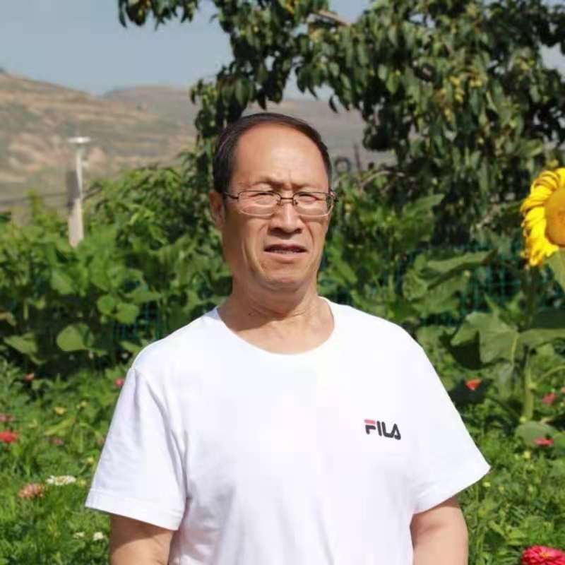 DƬ34.jpg