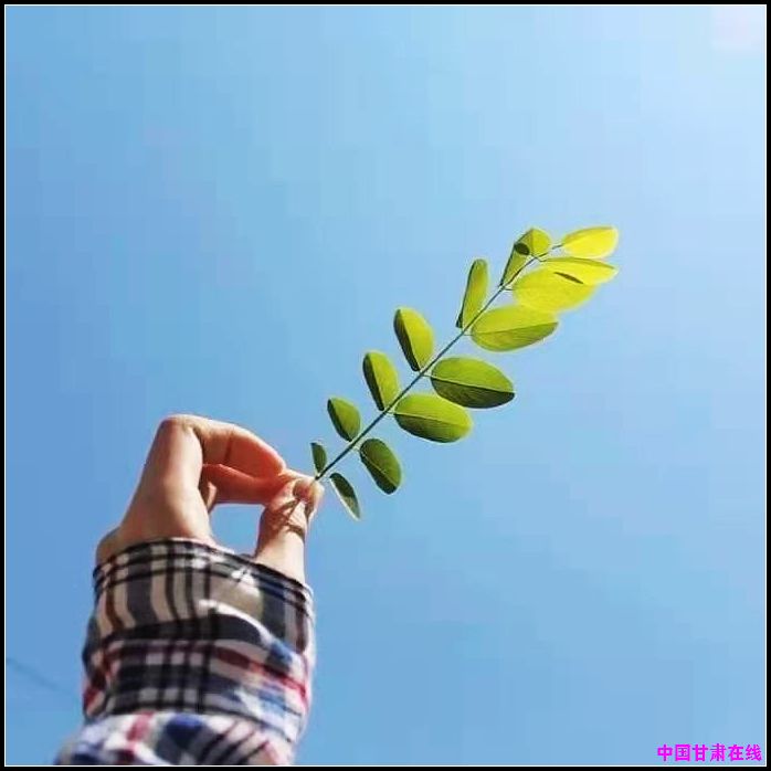 nEO_IMG_2.jpg