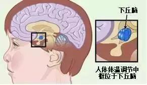 ע⣺e׌ʳ䡰Ҫ
