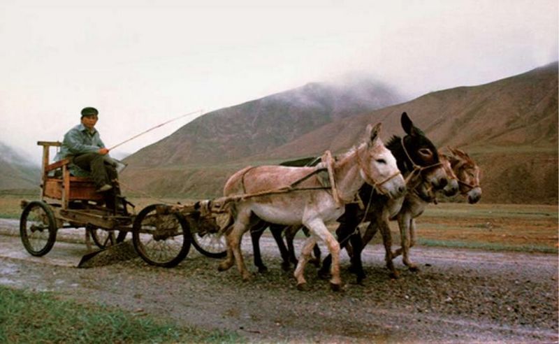 DƬ10.jpg