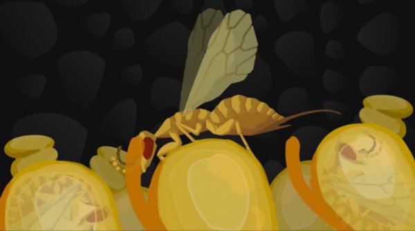 ˄ݣÿһwoﶼһֻS