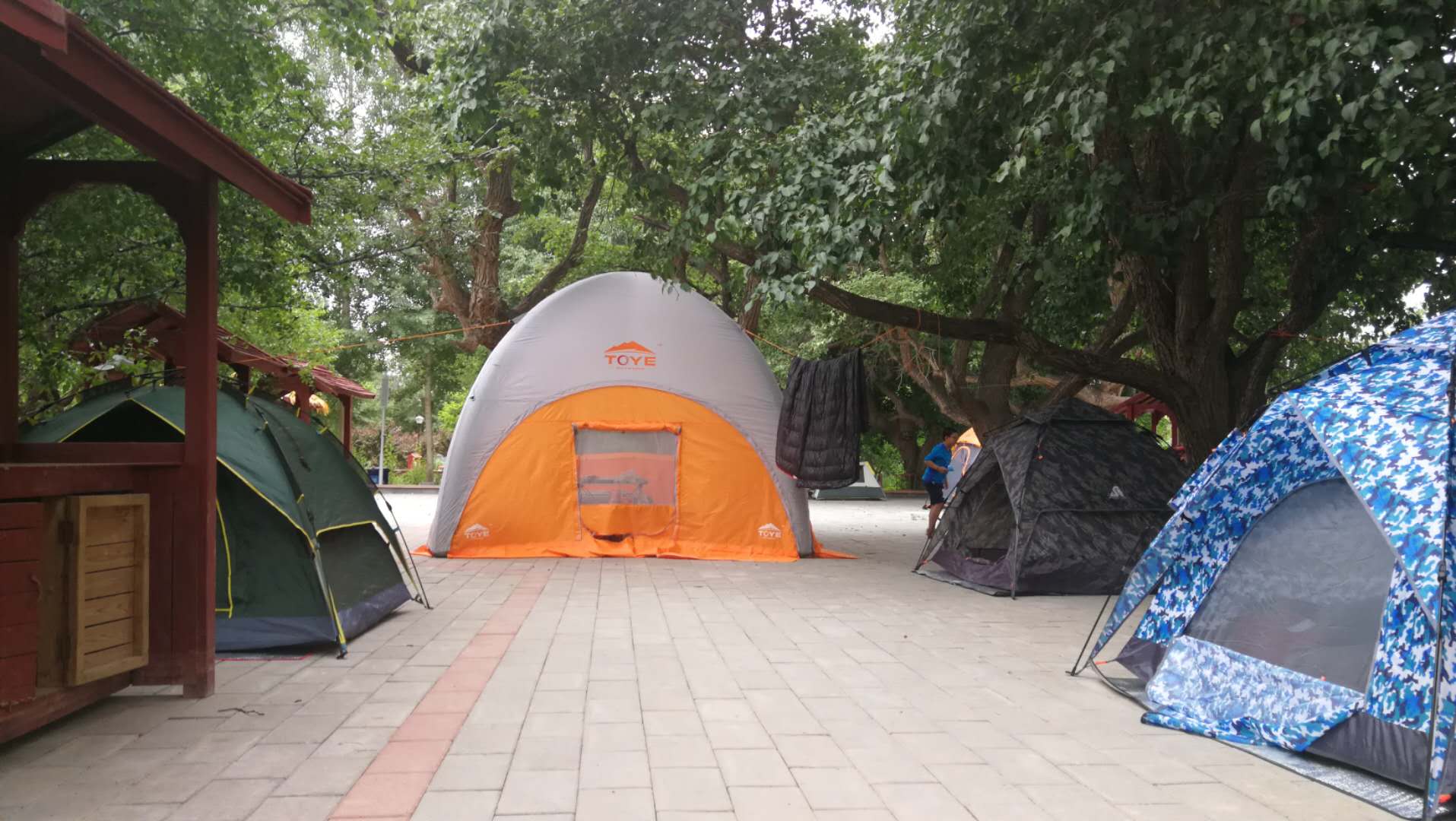 8e93805cccea521b0e91ea2b8e4870d8.jpg