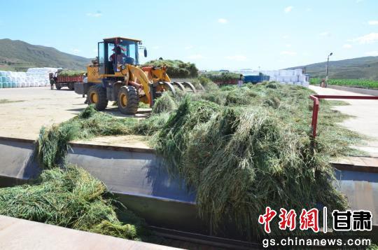 YψD<a href=http://m.jitongbianyaqi.com/news/ target=_blank class=infotextkey>C</a>^TՈIPIͶY˵ǰ}زIlչD飺<a href=http://m.jitongbianyaqi.com/news/ target=_blank class=infotextkey>C</a>޹˾ӹrُĲݡաz