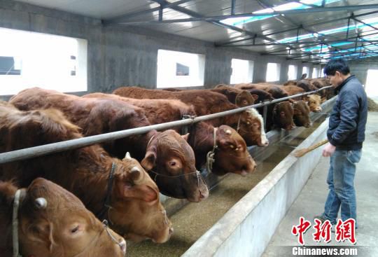 <a href=http://m.jitongbianyaqi.com/news/ target=_blank class=infotextkey>C</a>rIѭhaIM֙MţS׃U錚
