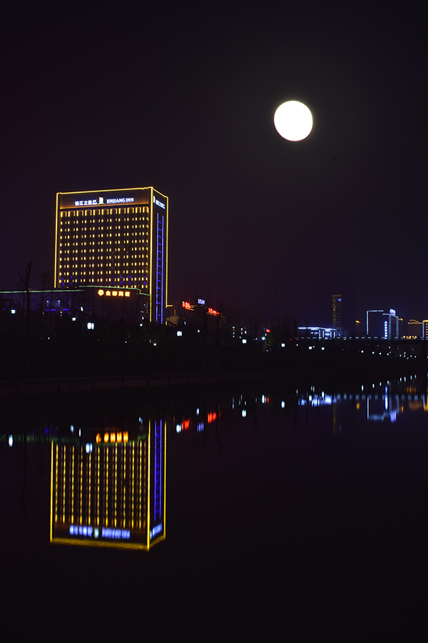 DSC_32482.jpg