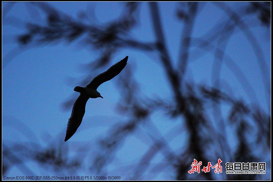 nEO_IMG_00301128161_bcfa7cf6.jpg