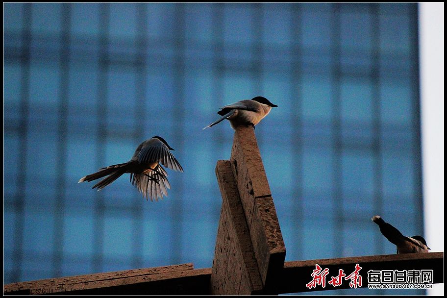 nEO_IMG_00301128158_b8053323.jpg