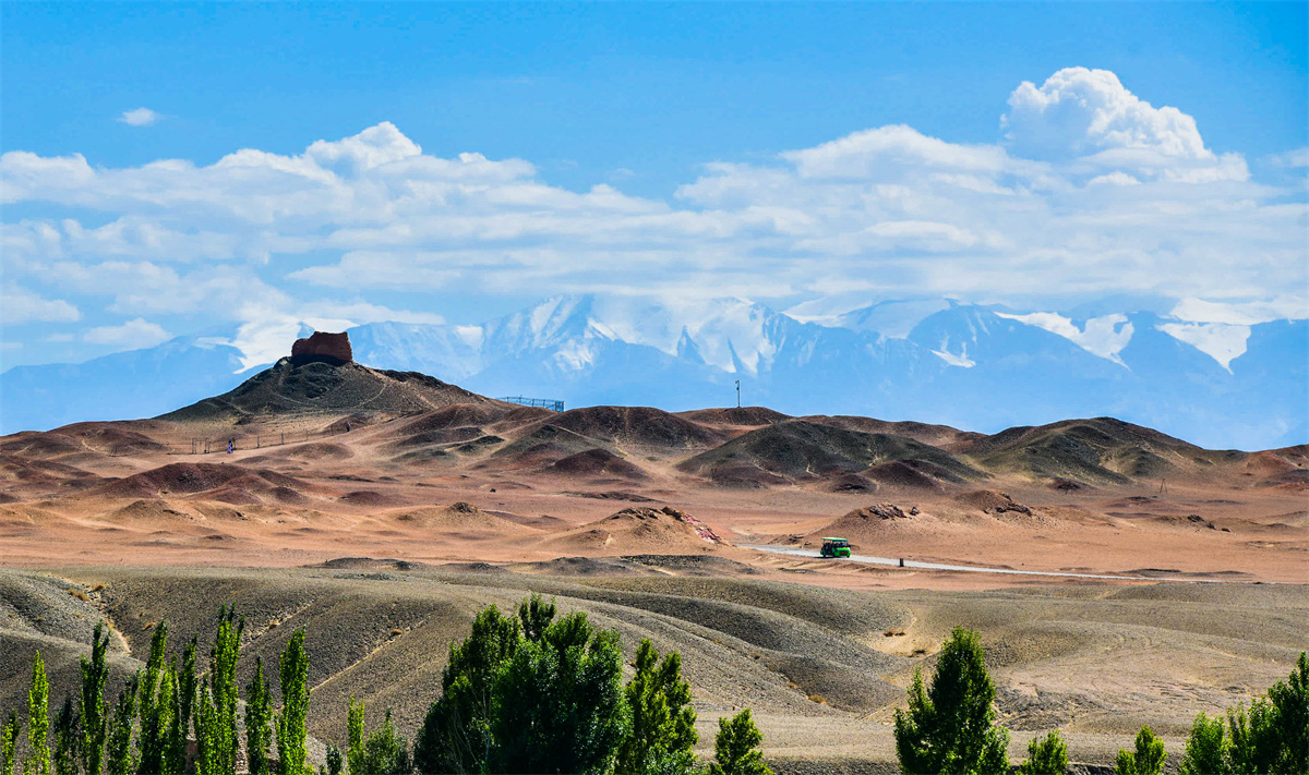 DSC_0367.jpg